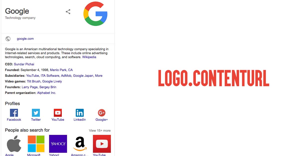 Fix Missing field "logo.contentUrl" Error In Search Console